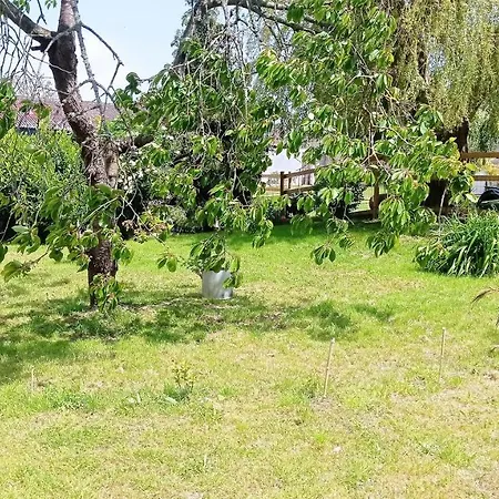 Apartamento La Sarriette Proche Des Plages Du Débarquement