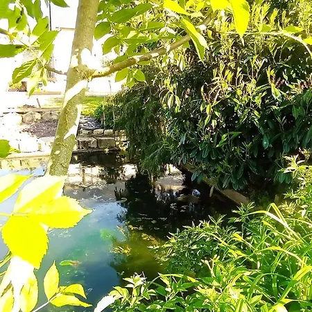 La Sarriette Proche Des Plages Du Debarquement شقة