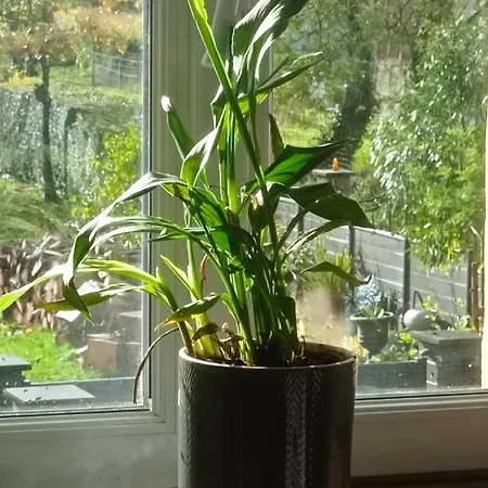 شقة La Sarriette Proche Des Plages Du Debarquement *